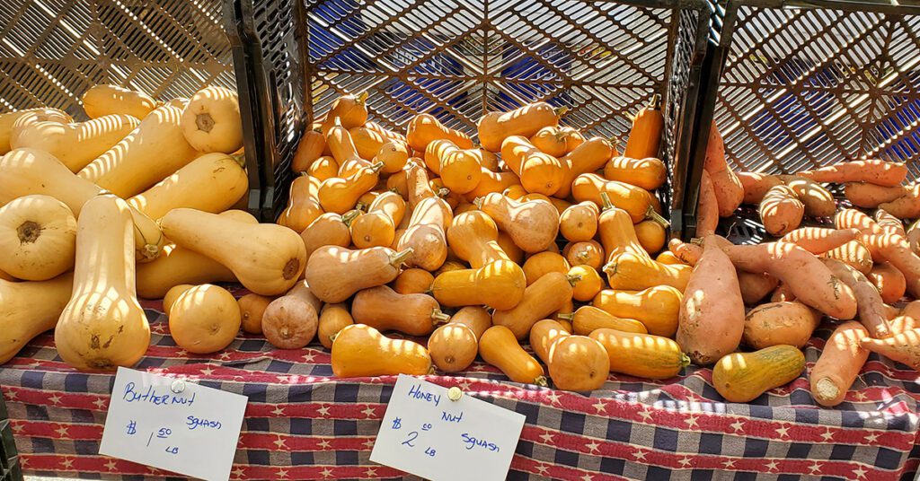 This is an image of butternut squash and honeynut squash at the farmer's market. Fresh ingredients for the butternut squash bisque.
