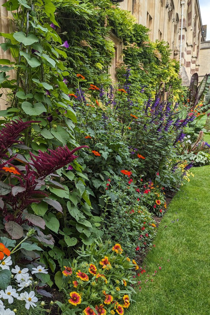 This is an image of Balliol College's garden filled with beautiful colorful flowers.